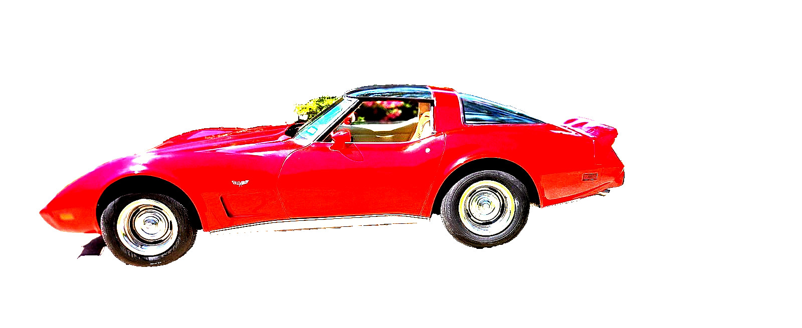 Chevrolet-Corvette-1979-Convertible