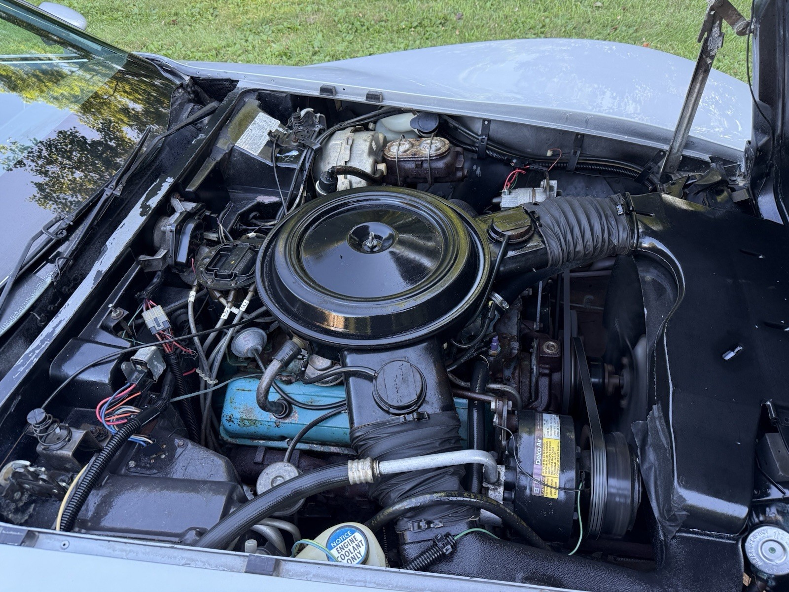 Chevrolet-Corvette-1979-Coupe-16