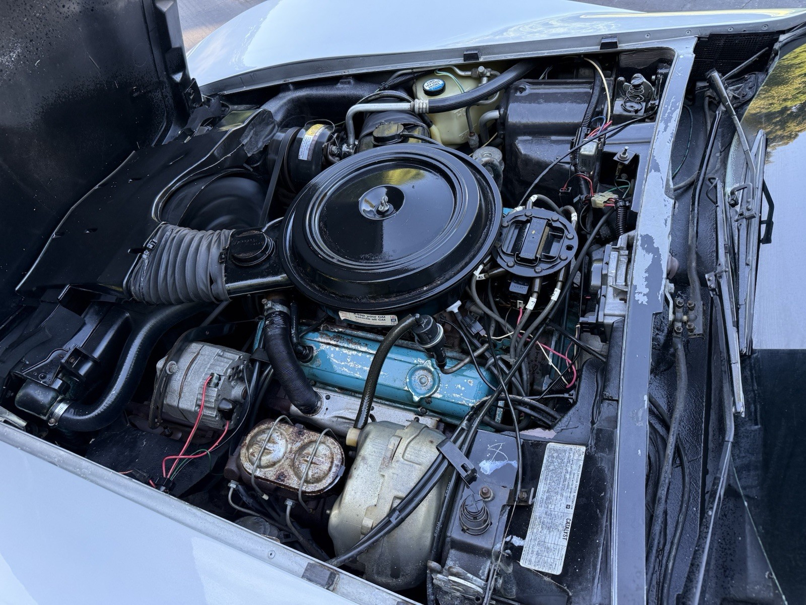 Chevrolet-Corvette-1979-Coupe-17