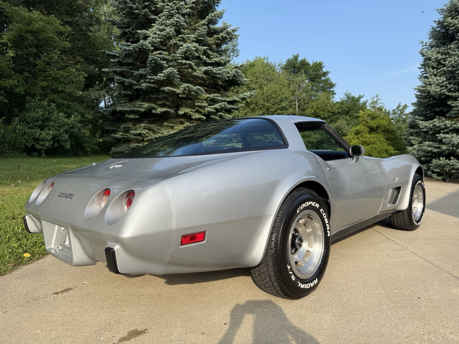 Chevrolet-Corvette-1979-Coupe-6
