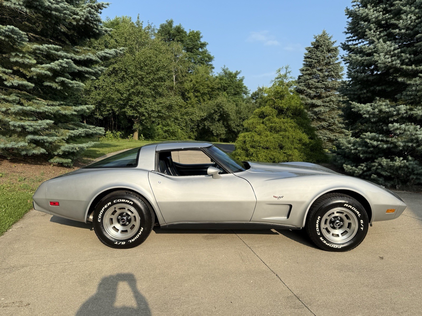 Chevrolet-Corvette-1979-Coupe-8