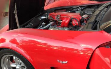 Chevrolet-Corvette-1979-Coupe-8