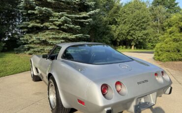 Chevrolet-Corvette-1979-Coupe-9