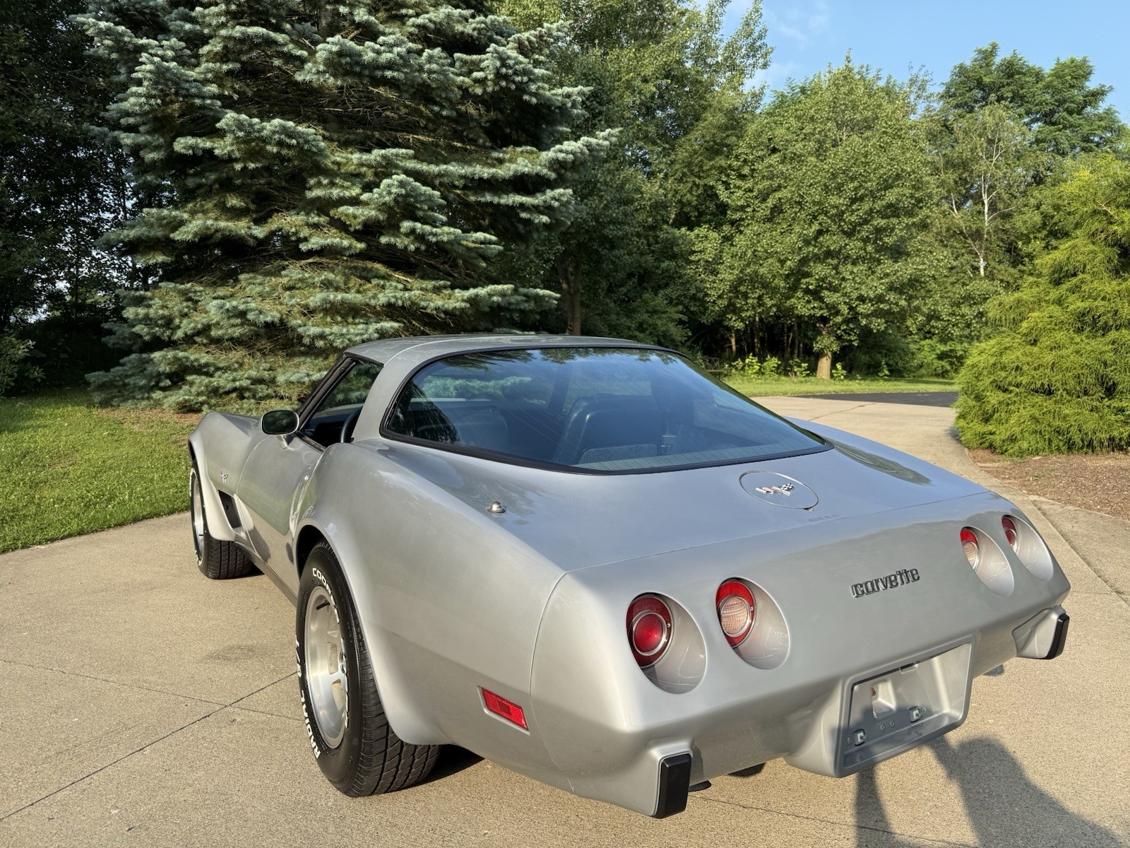 Chevrolet-Corvette-1979-Coupe-9
