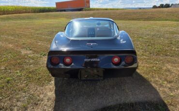 Chevrolet-Corvette-1980-Black-Tan-10