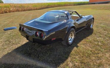 Chevrolet-Corvette-1980-Black-Tan-11