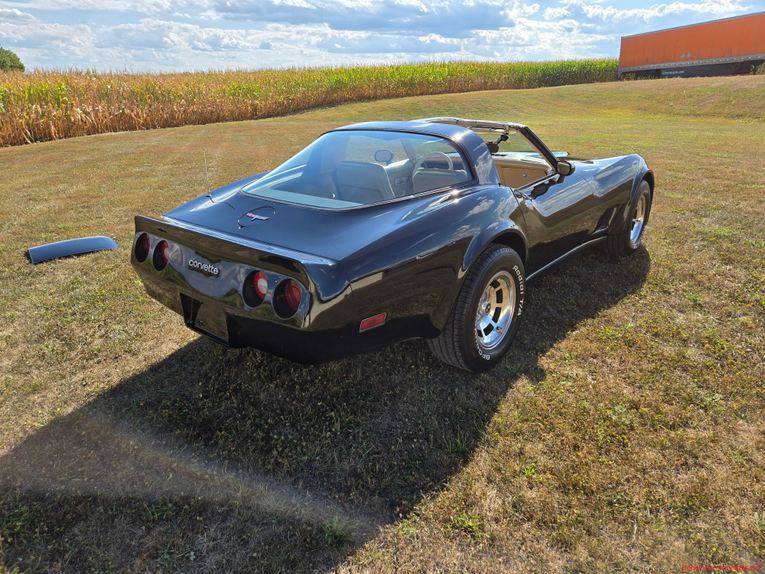 Chevrolet-Corvette-1980-Black-Tan-11
