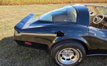 Chevrolet-Corvette-1980-Black-Tan-12