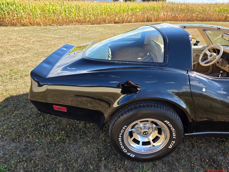 Chevrolet-Corvette-1980-Black-Tan-12
