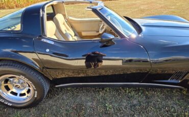 Chevrolet-Corvette-1980-Black-Tan-13