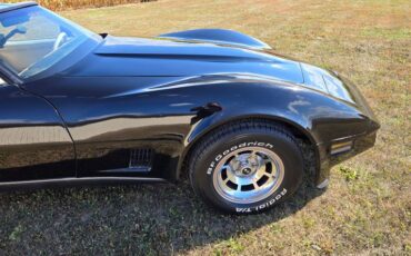 Chevrolet-Corvette-1980-Black-Tan-14