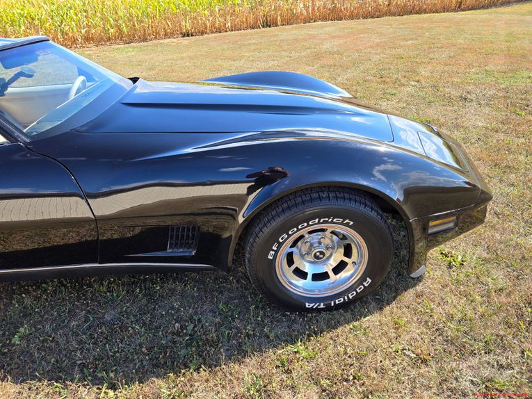 Chevrolet-Corvette-1980-Black-Tan-14