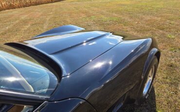 Chevrolet-Corvette-1980-Black-Tan-15