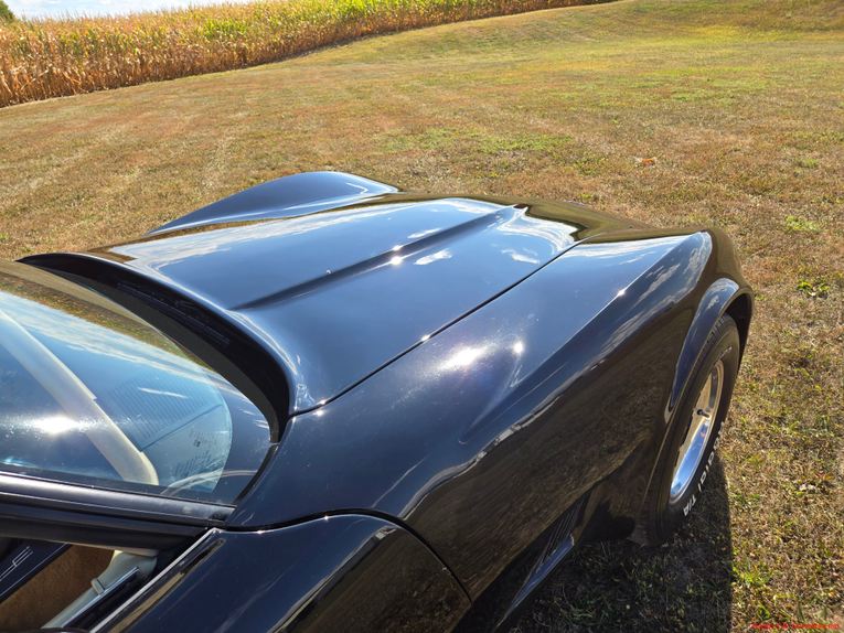 Chevrolet-Corvette-1980-Black-Tan-15