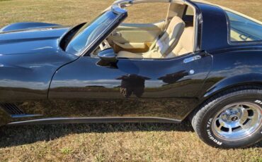 Chevrolet-Corvette-1980-Black-Tan-17