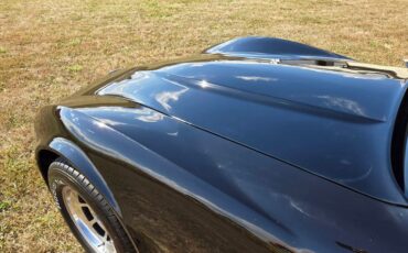 Chevrolet-Corvette-1980-Black-Tan-18