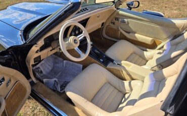 Chevrolet-Corvette-1980-Black-Tan-20