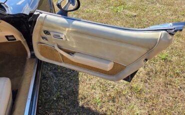 Chevrolet-Corvette-1980-Black-Tan-21