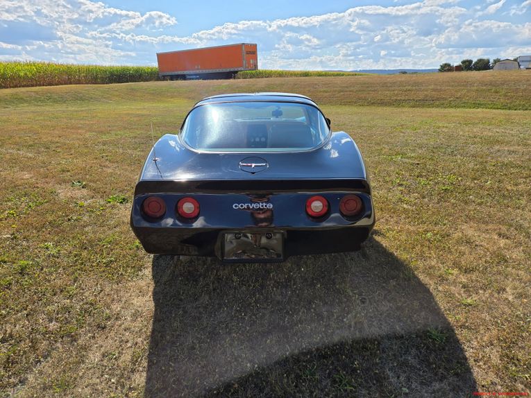 Chevrolet-Corvette-1980-Black-Tan-3