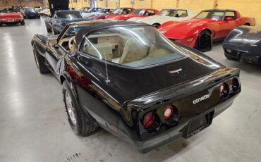 Chevrolet-Corvette-1980-Black-Tan-38