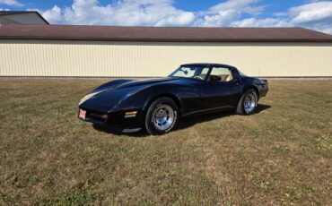 Chevrolet-Corvette-1980-Black-Tan-42