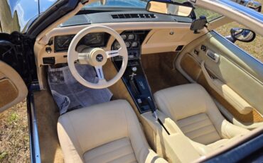Chevrolet-Corvette-1980-Black-Tan-43