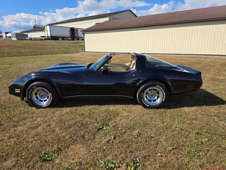 Chevrolet-Corvette-1980-Black-Tan-8