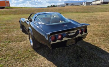 Chevrolet-Corvette-1980-Black-Tan-9