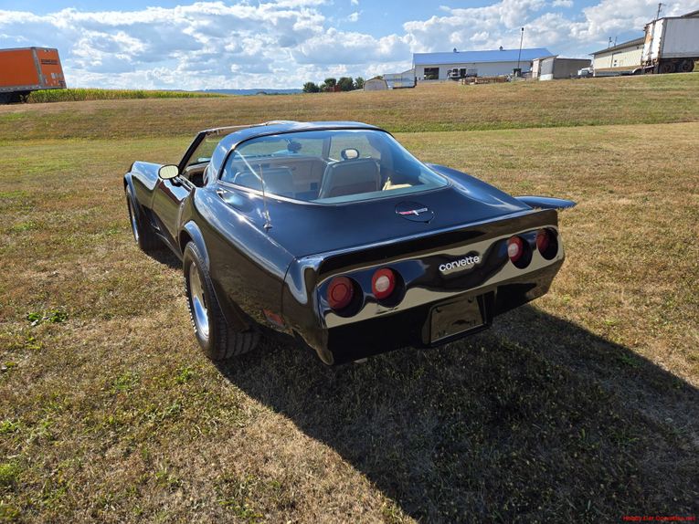 Chevrolet-Corvette-1980-Black-Tan-9