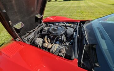 Chevrolet-Corvette-1980-Coupe-13