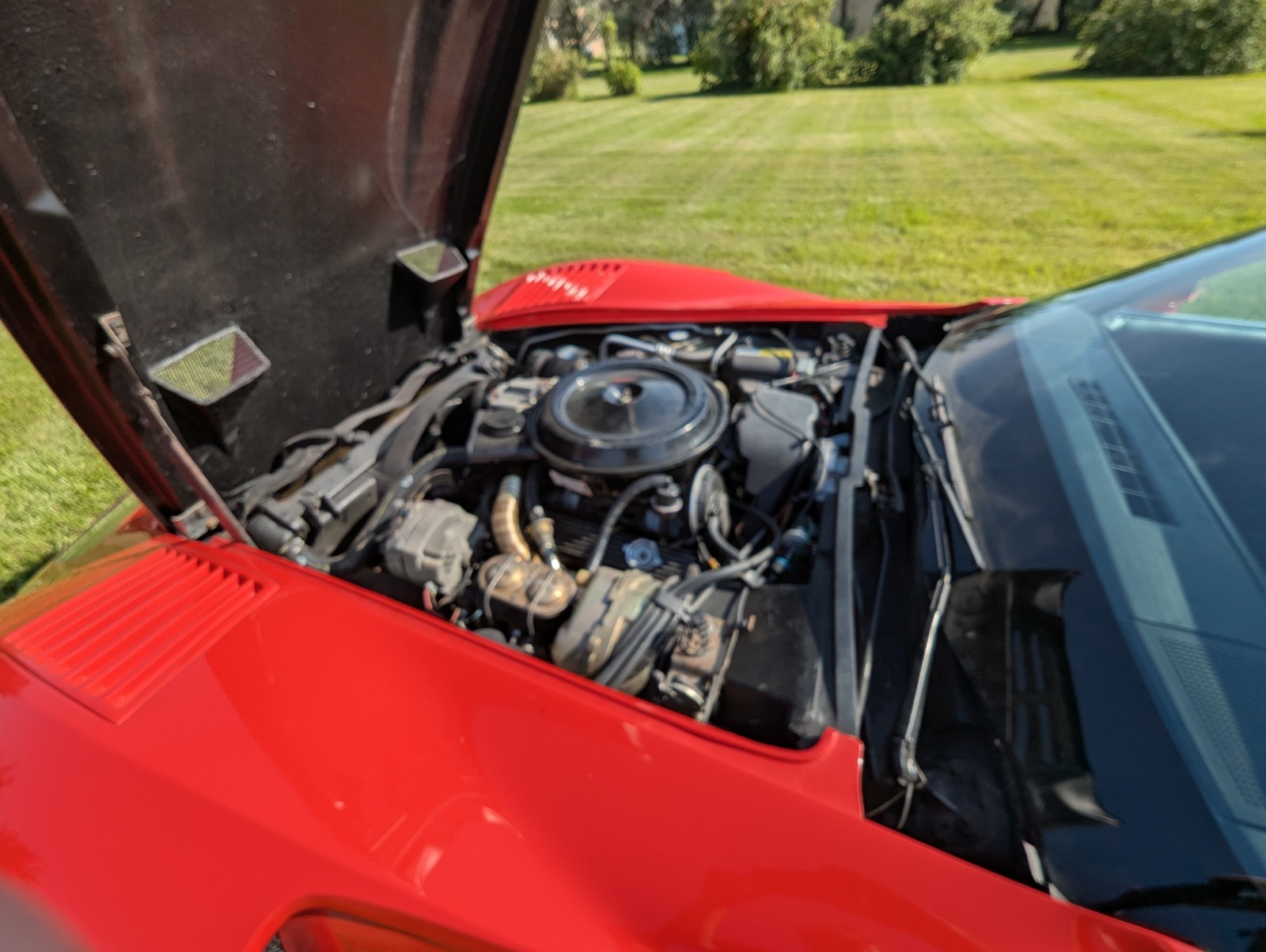 Chevrolet-Corvette-1980-Coupe-13