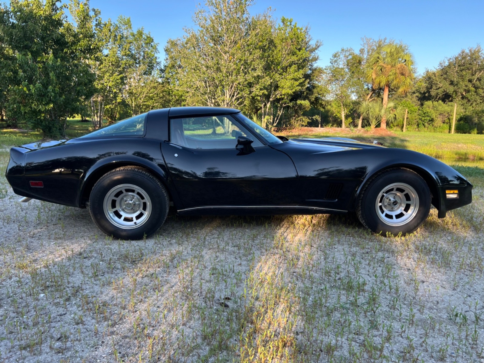 Chevrolet-Corvette-1980-Coupe-3