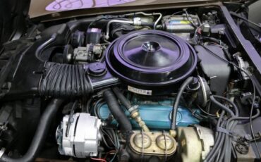 Chevrolet-Corvette-1980-Coupe-6