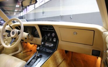 Chevrolet-Corvette-1980-Coupe-8
