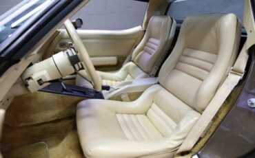 Chevrolet-Corvette-1980-Coupe-9