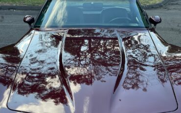 Chevrolet-Corvette-1981-Coupe-10