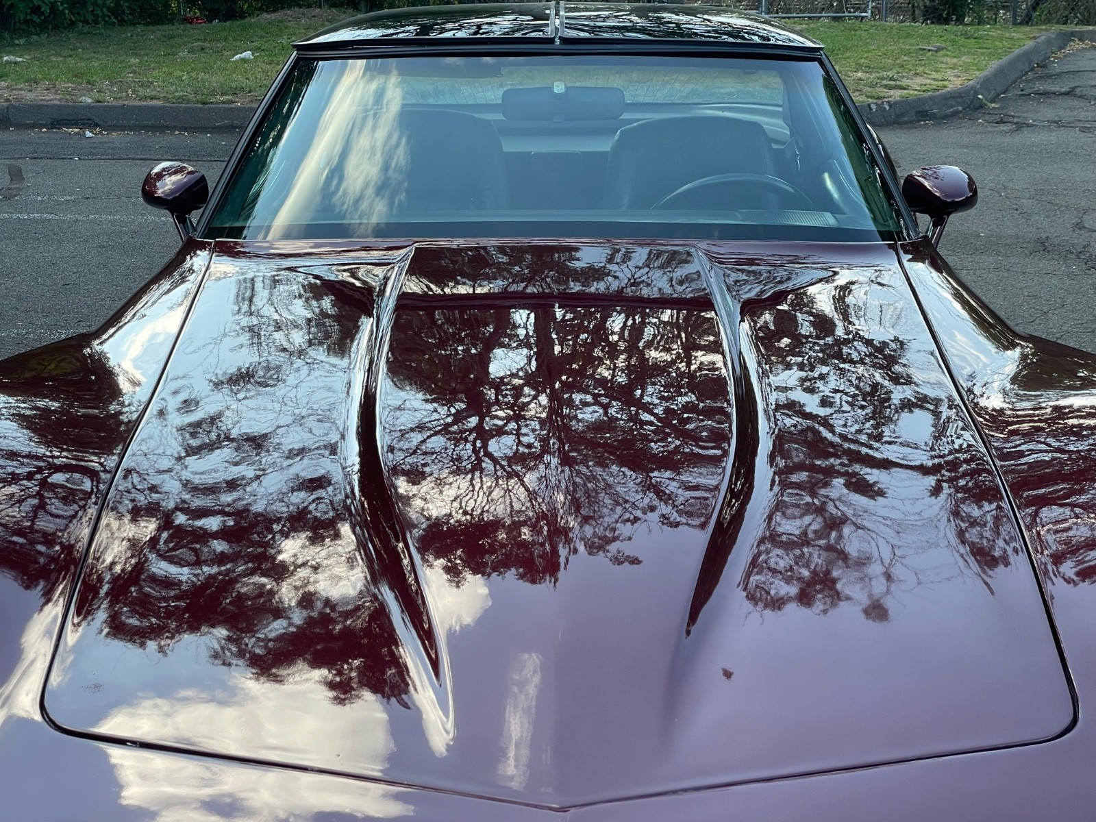 Chevrolet-Corvette-1981-Coupe-10