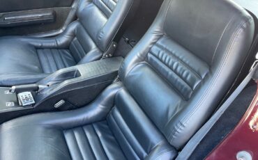 Chevrolet-Corvette-1981-Coupe-16