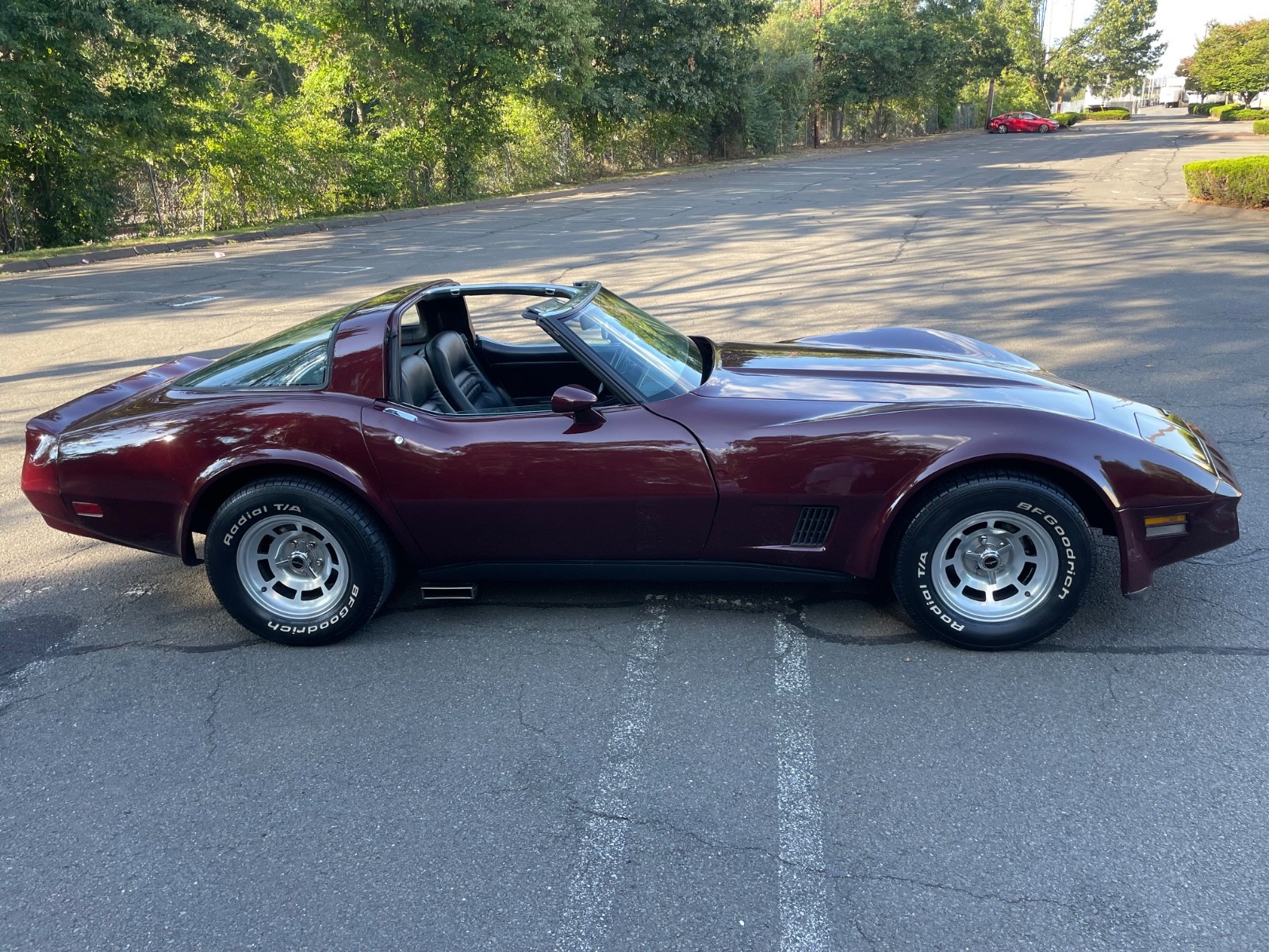 Chevrolet-Corvette-1981-Coupe-19