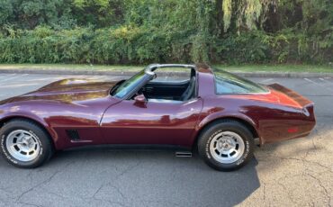 Chevrolet-Corvette-1981-Coupe-20
