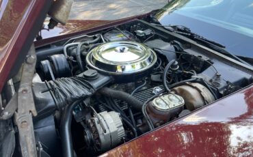 Chevrolet-Corvette-1981-Coupe-24