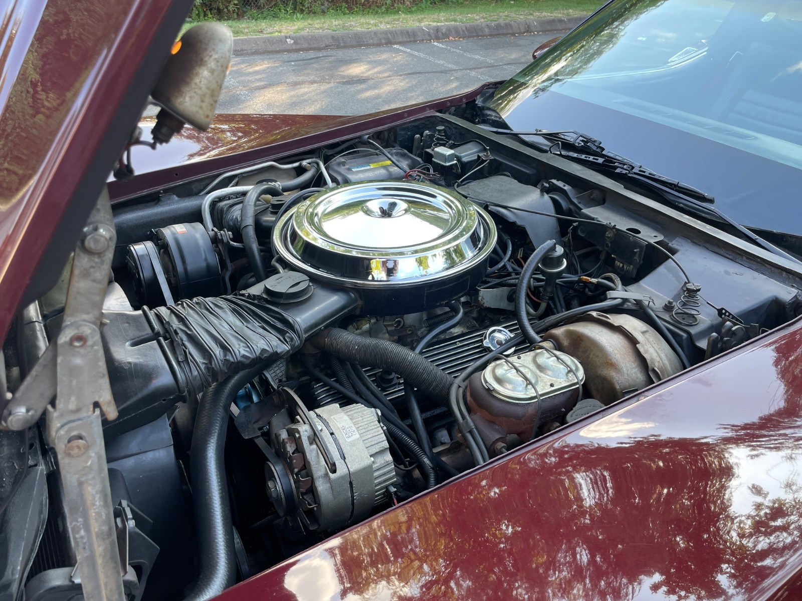 Chevrolet-Corvette-1981-Coupe-24