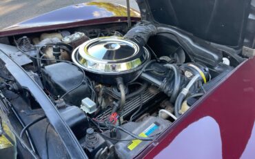 Chevrolet-Corvette-1981-Coupe-25