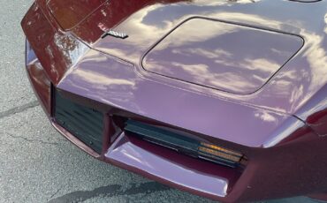 Chevrolet-Corvette-1981-Coupe-8