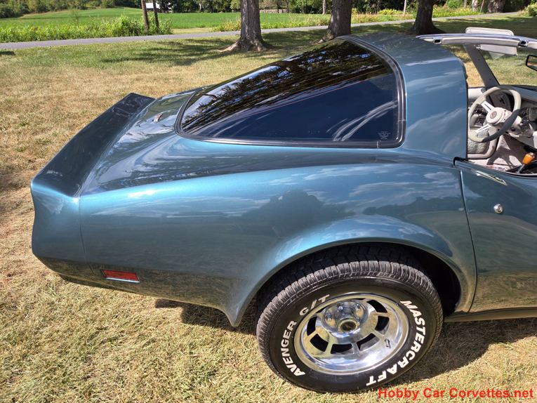 Chevrolet-Corvette-1982-Blue-gray-10