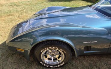 Chevrolet-Corvette-1982-Blue-gray-11