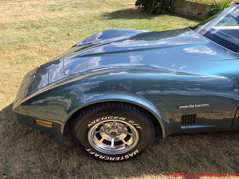 Chevrolet-Corvette-1982-Blue-gray-11