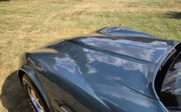 Chevrolet-Corvette-1982-Blue-gray-12