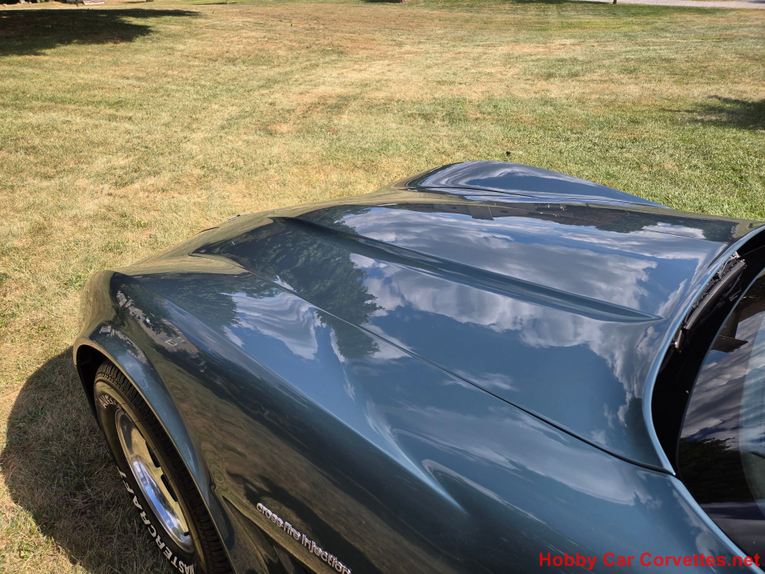 Chevrolet-Corvette-1982-Blue-gray-12