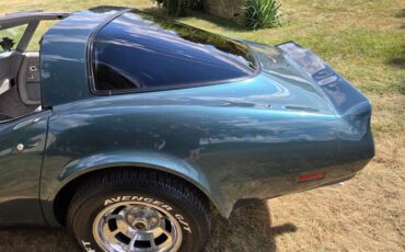 Chevrolet-Corvette-1982-Blue-gray-14